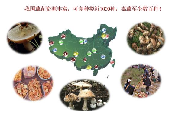 QQ图片20170426074706.png